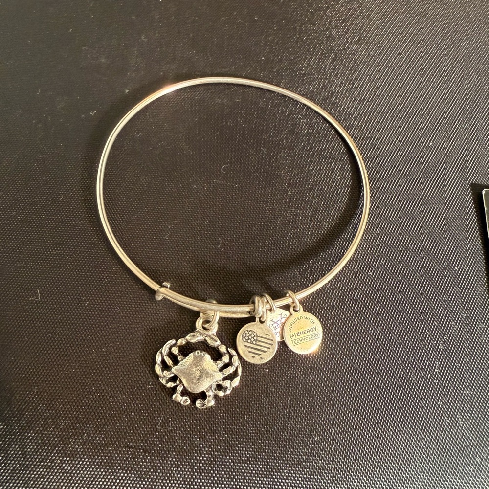 Alex and Ani Silver Charm Bracelet with Crab Design
